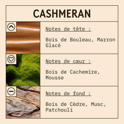 Cashmeran Fragrance Oil scent card (French)