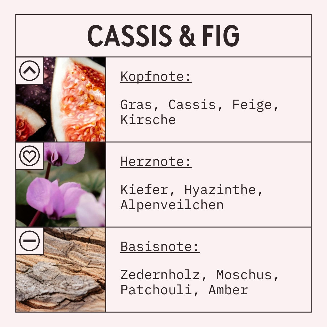 Cassis and Fig Fragrance Oil scent card (German)
