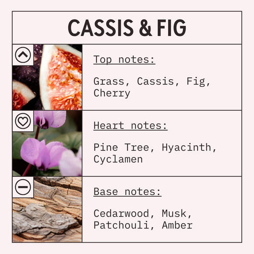 Cassis and Fig Fragrance Oil scent card (English)