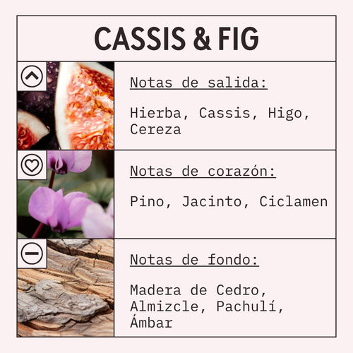 Cassis and Fig Fragrance Oil scent card (Spanish)