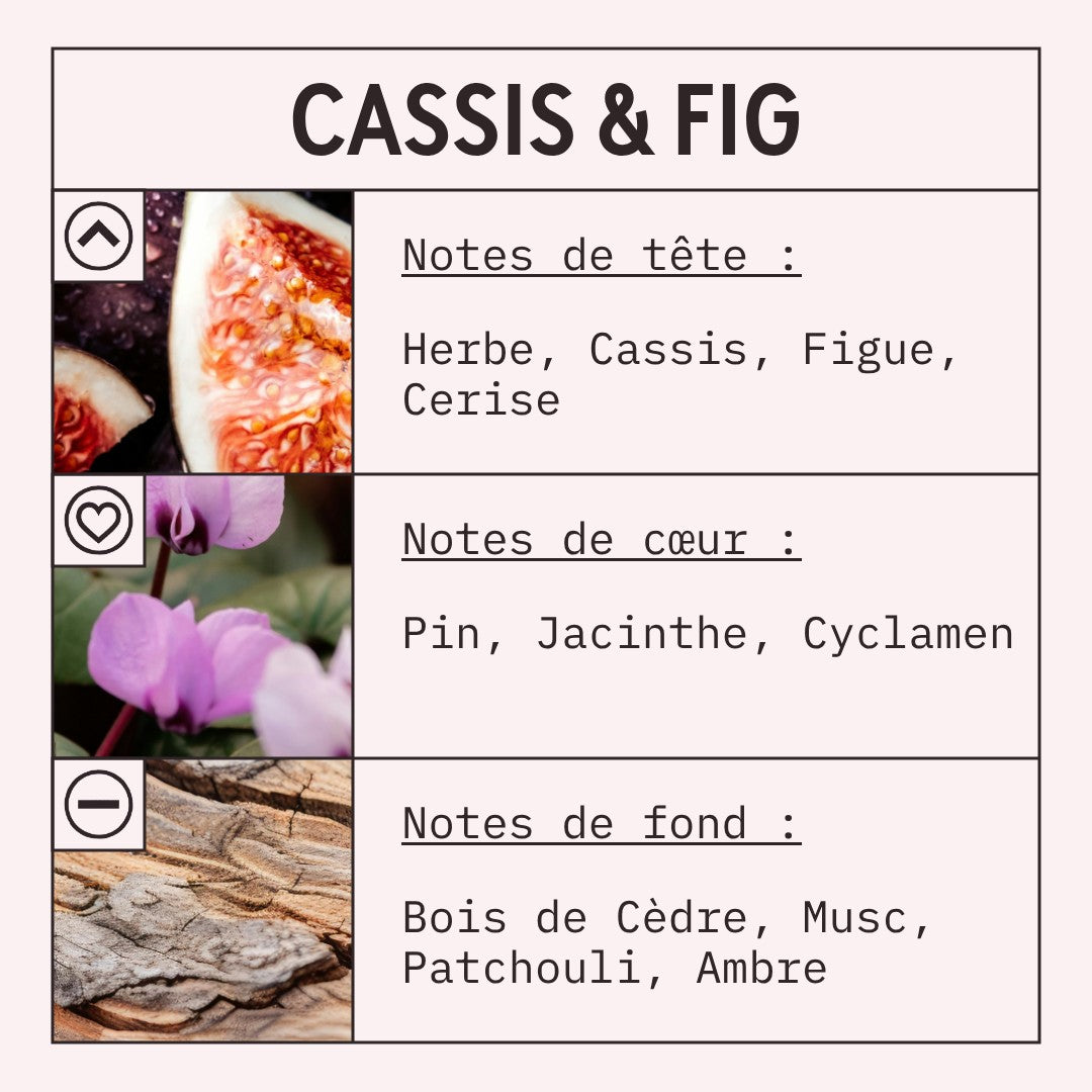Cassis and Fig Fragrance Oil scent card (French)