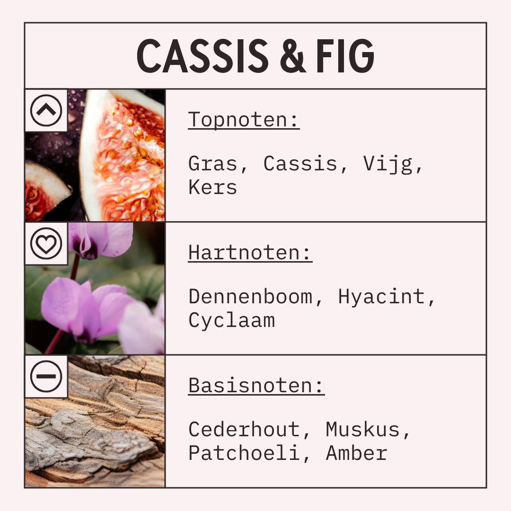 Cassis and Fig Fragrance Oil scent card (Dutch)