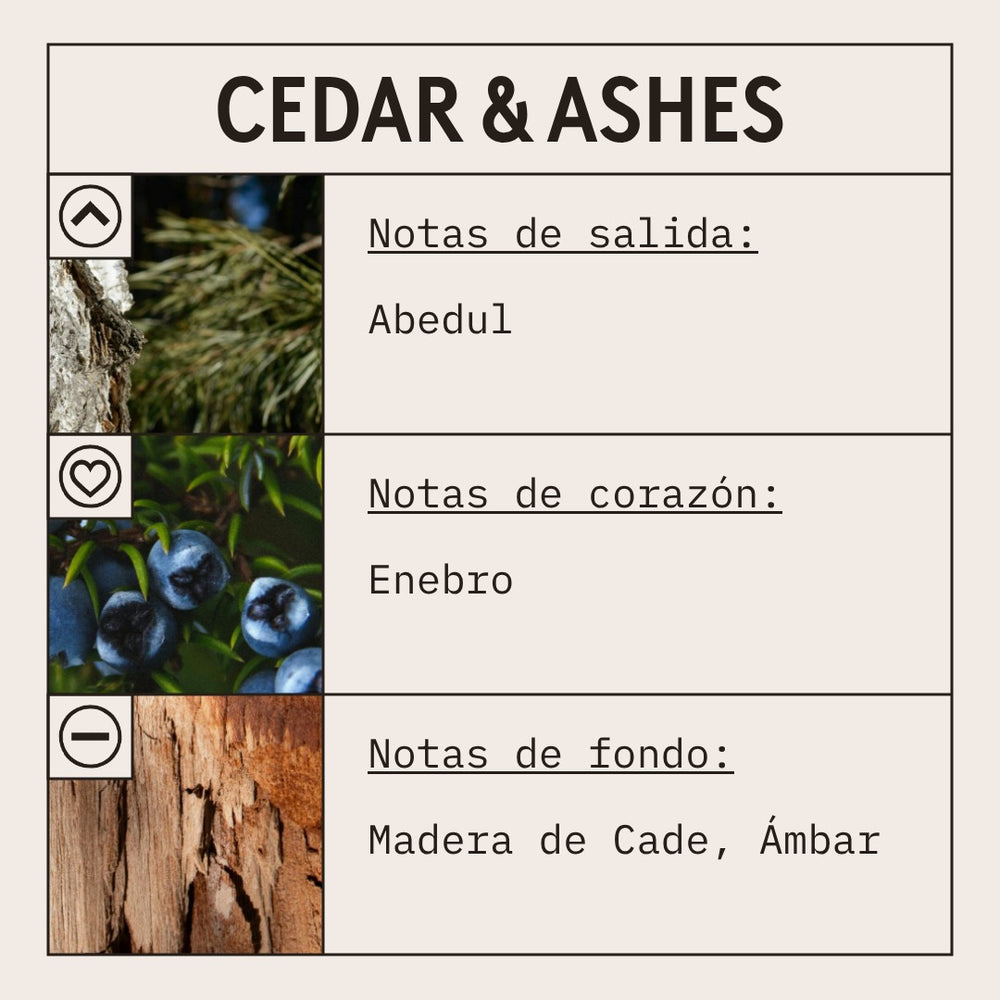 Cedar & Ashes Fragrance Oil scent card (Spanish)