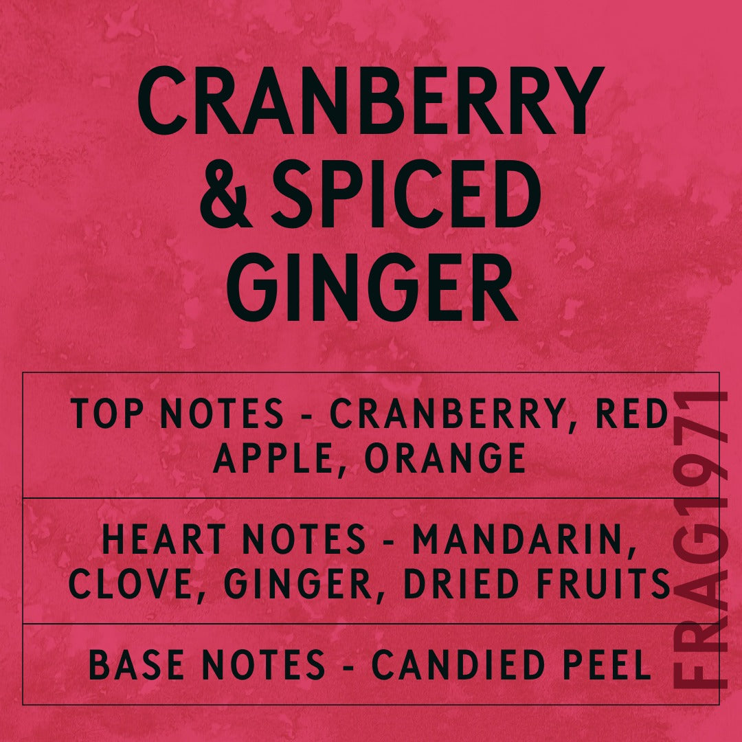 Cranberry & Spiced Ginger fragrance oil - Candle Shack aluminium bottle with dried botanicals on a dark slate background
