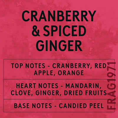 Cranberry & Spiced Ginger fragrance oil - Candle Shack aluminium bottle with dried botanicals on a dark slate background