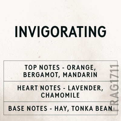 Invigorating Natural Oil fragrance oil - Candle Shack aluminium bottle with dried botanicals on a dark slate background