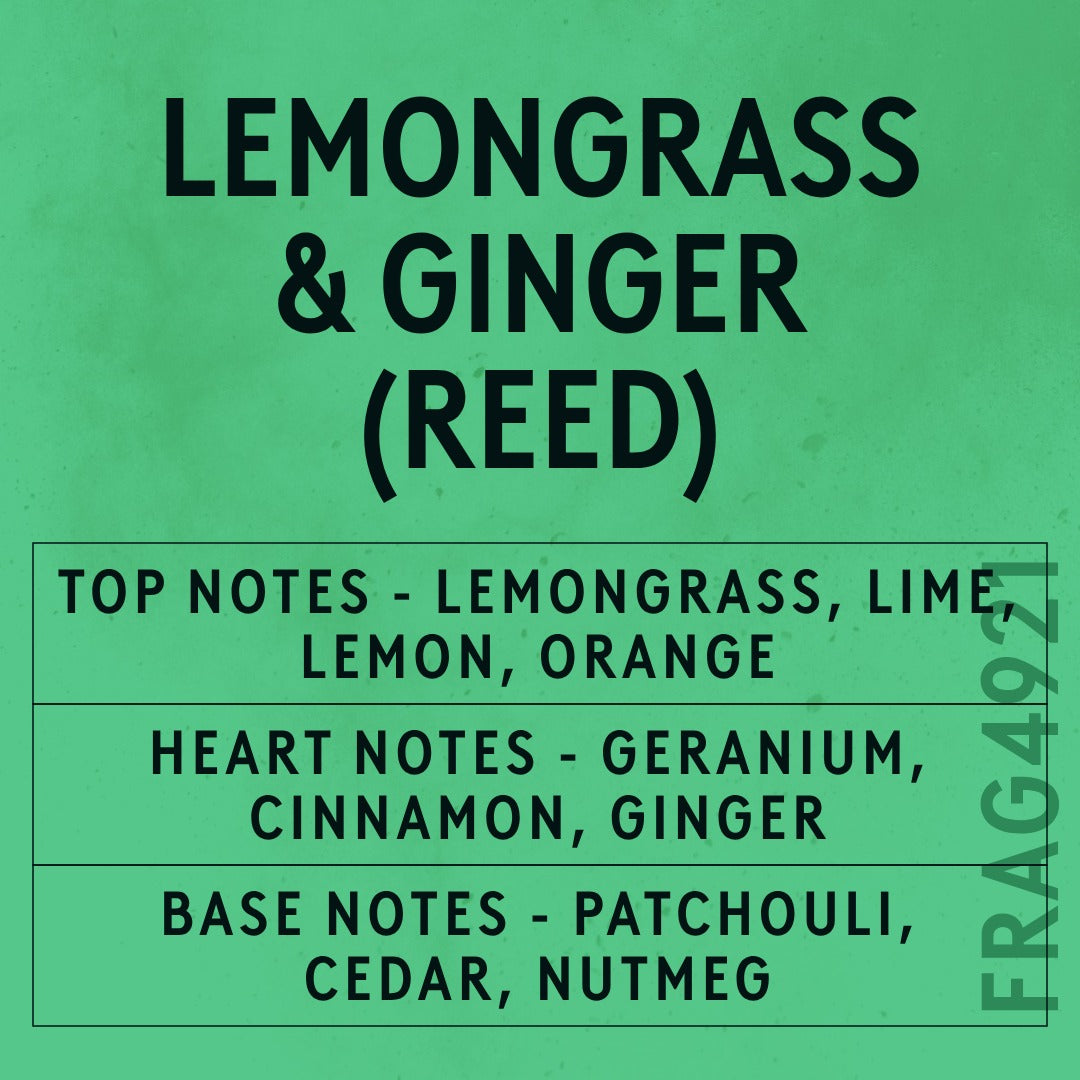 Lemongrass & Ginger Reed fragrance oil - Candle Shack aluminium bottle with dried botanicals on a dark slate background