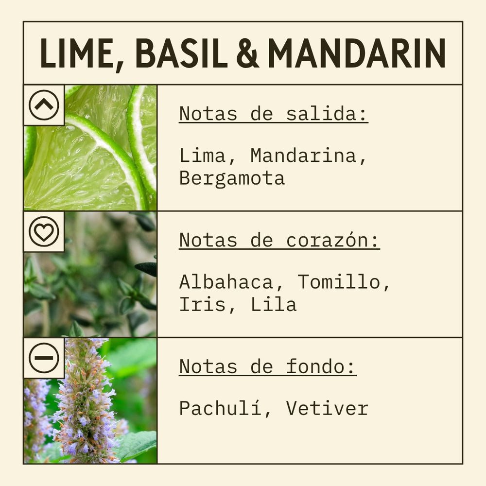 Lime, Basil & Mandarin Fragrance Oil scent card (Spanish)
