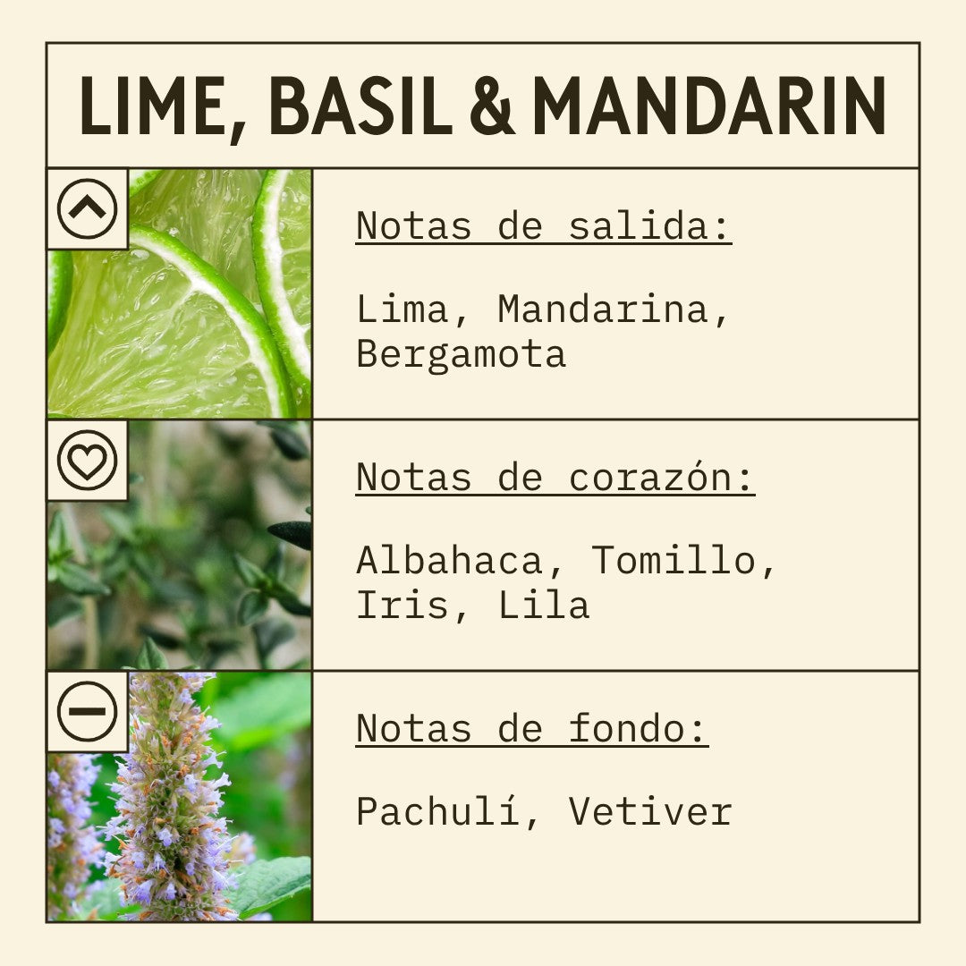 Lime, Basil & Mandarin Fragrance Oil (New Mod) scent card (Spanish)