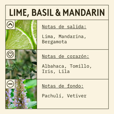 Lime, Basil & Mandarin Fragrance Oil (New Mod) scent card (Spanish)
