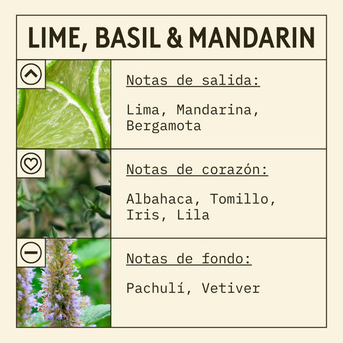 Lime, Basil & Mandarin Fragrance Oil (New Mod) scent card (Spanish)