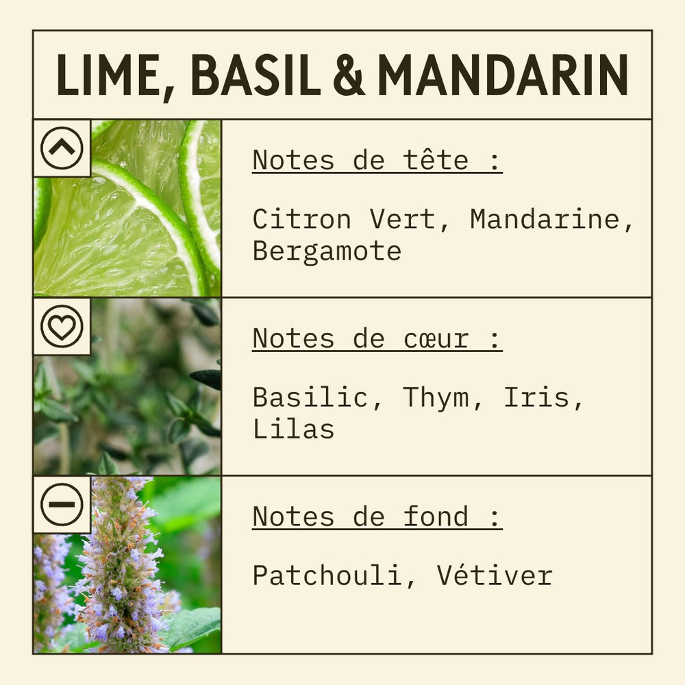 Lime, Basil & Mandarin Fragrance Oil (New Mod) scent card (French)