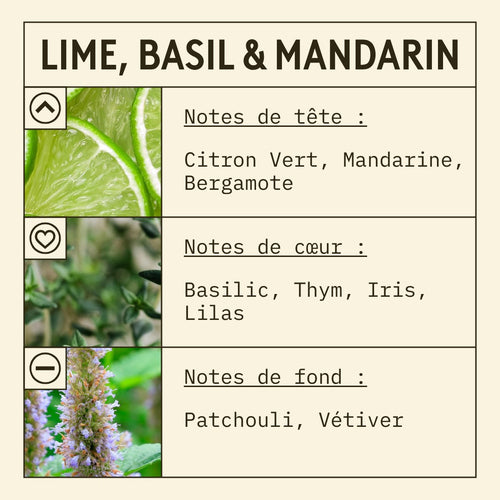 Lime, Basil & Mandarin Fragrance Oil (New Mod) scent card (French)
