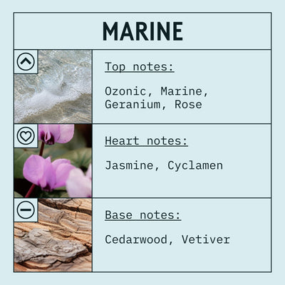 Marine Fragrance Oil scent card (English)