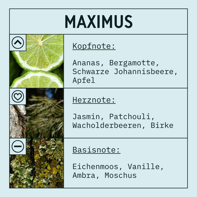 Maximus Fragrance Oil scent card (German)