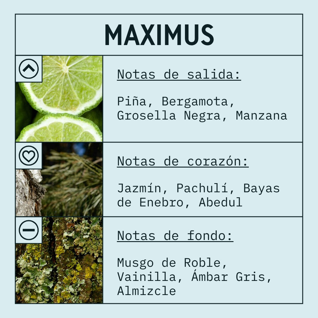 Maximus Fragrance Oil scent card (Spanish)