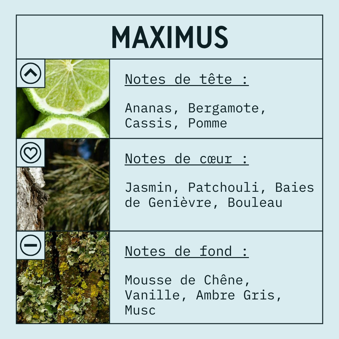 Maximus Fragrance Oil scent card (French)