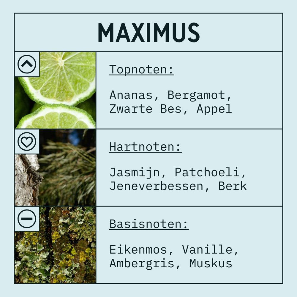 Maximus Fragrance Oil scent card (Dutch)