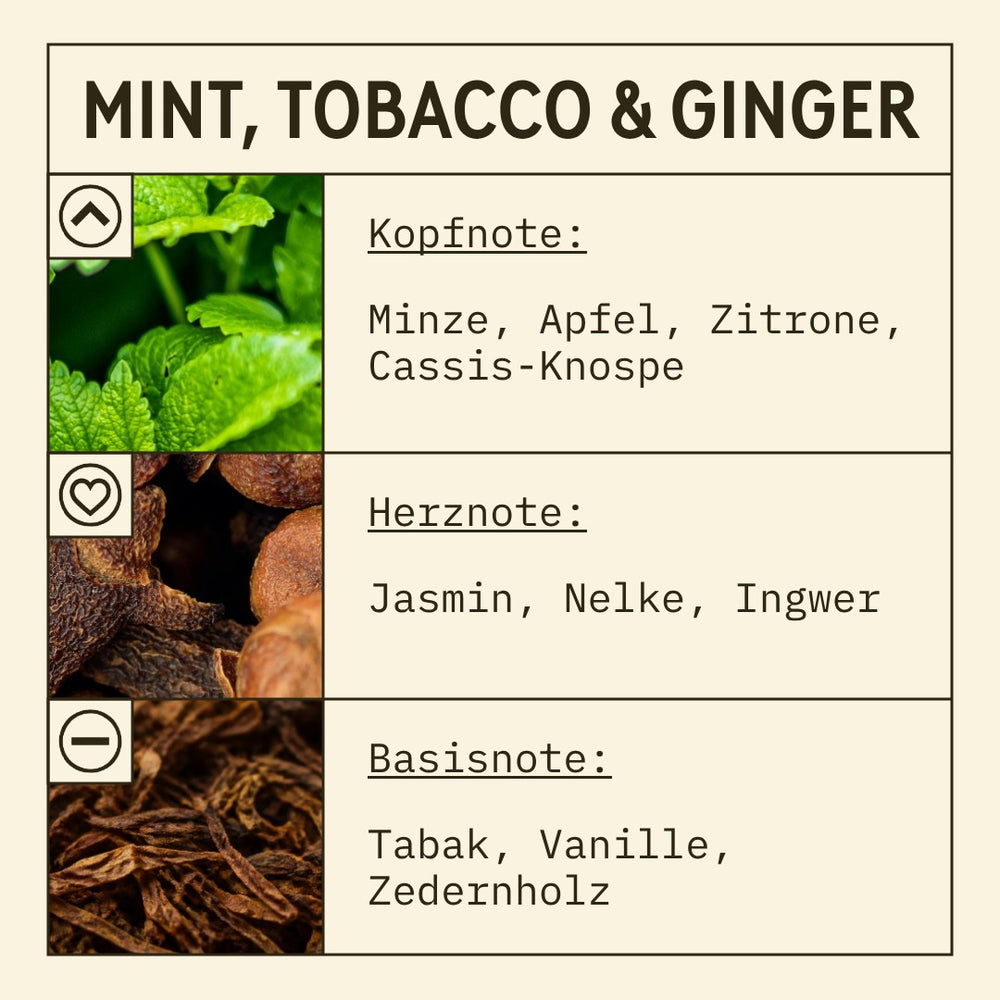 Mint, Ginger and Tobacco Fragrance Oil scent card (German)