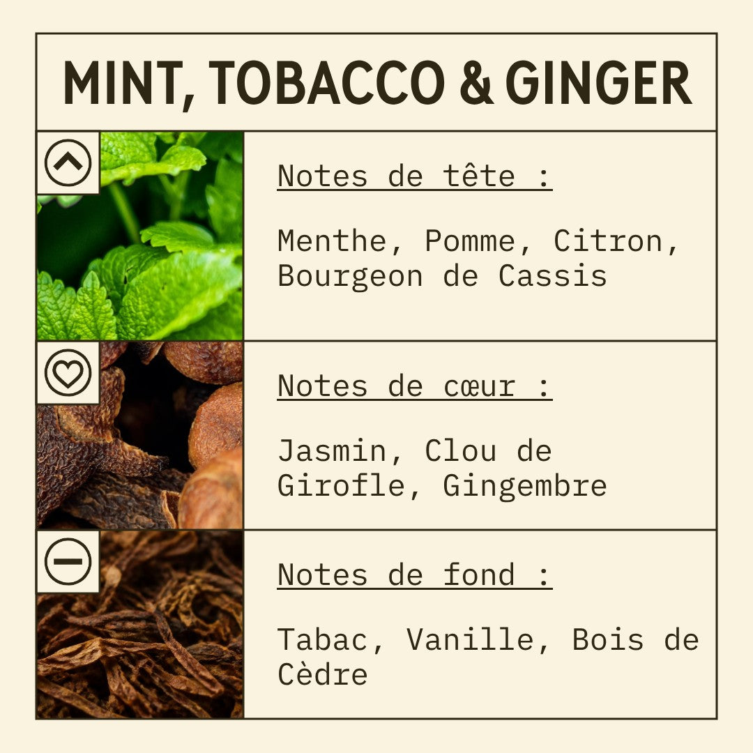 Mint, Ginger and Tobacco Fragrance Oil scent card (French)