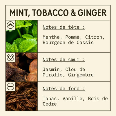 Mint, Ginger and Tobacco Fragrance Oil scent card (French)