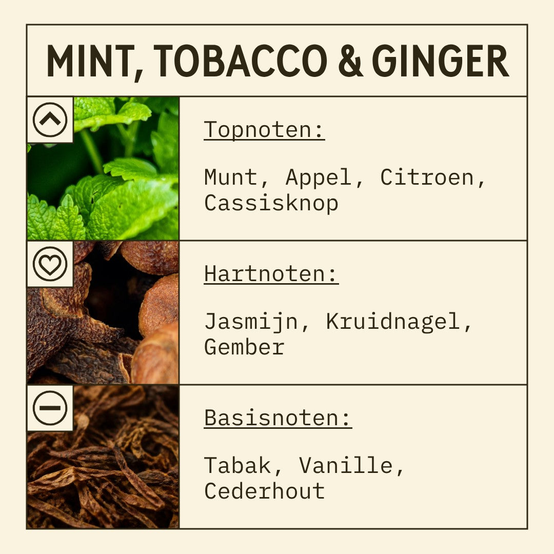 Mint, Ginger and Tobacco Fragrance Oil scent card (Dutch)