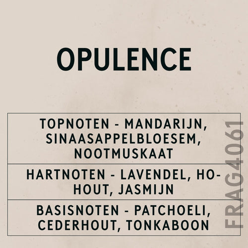 Opulence Natural Oil scent card (Dutch)