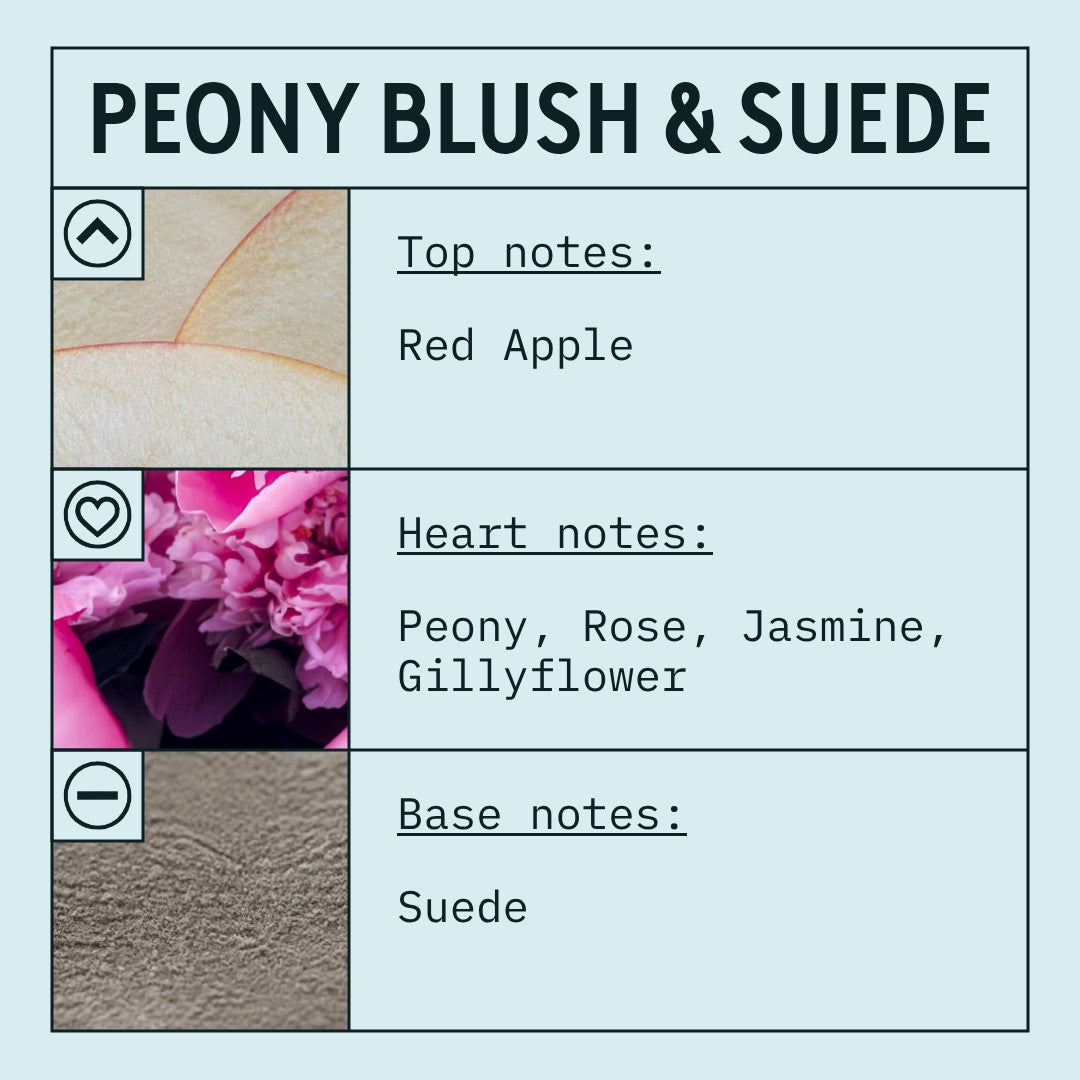 Peony & Blush Suede Fragrance Oil (Concentrated) scent card (English)