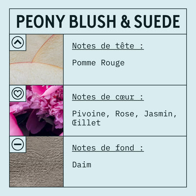 Peony & Blush Suede Fragrance Oil (Concentrated) scent card (French)