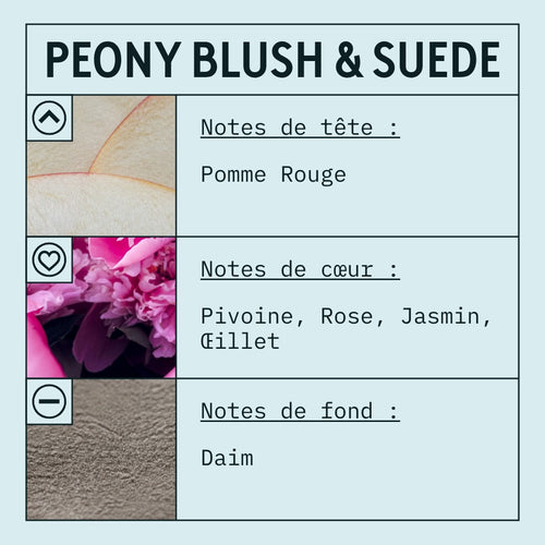 Peony & Blush Suede Fragrance Oil (Concentrated) scent card (French)