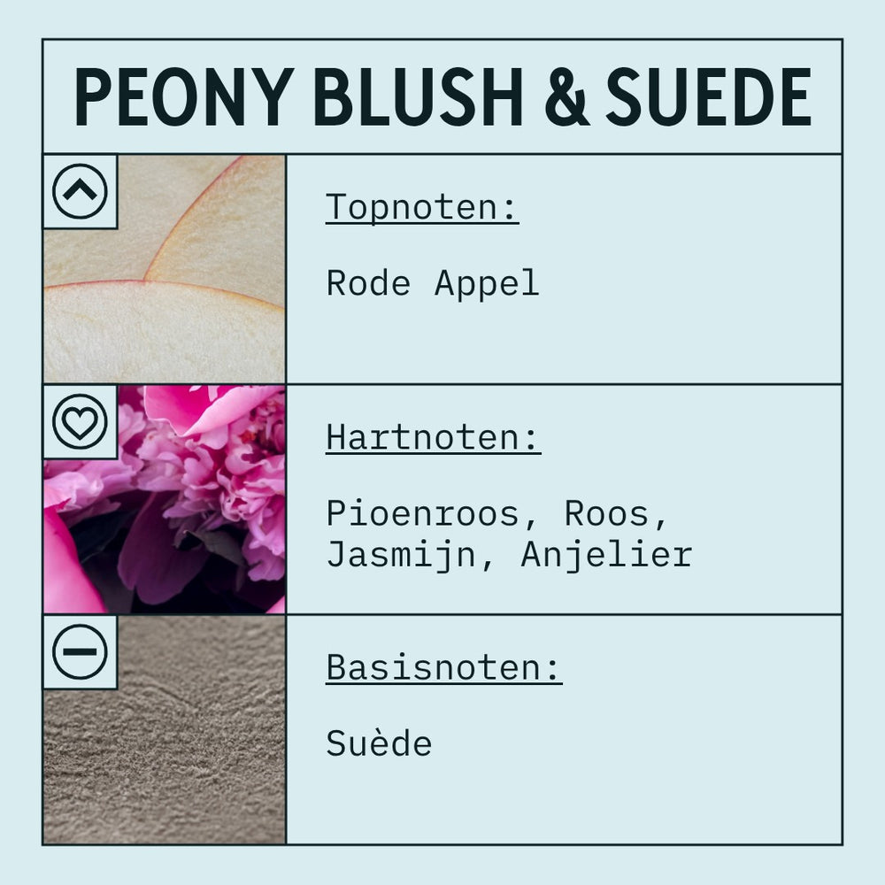 Peony & Blush Suede Fragrance Oil (Concentrated) scent card (Dutch)