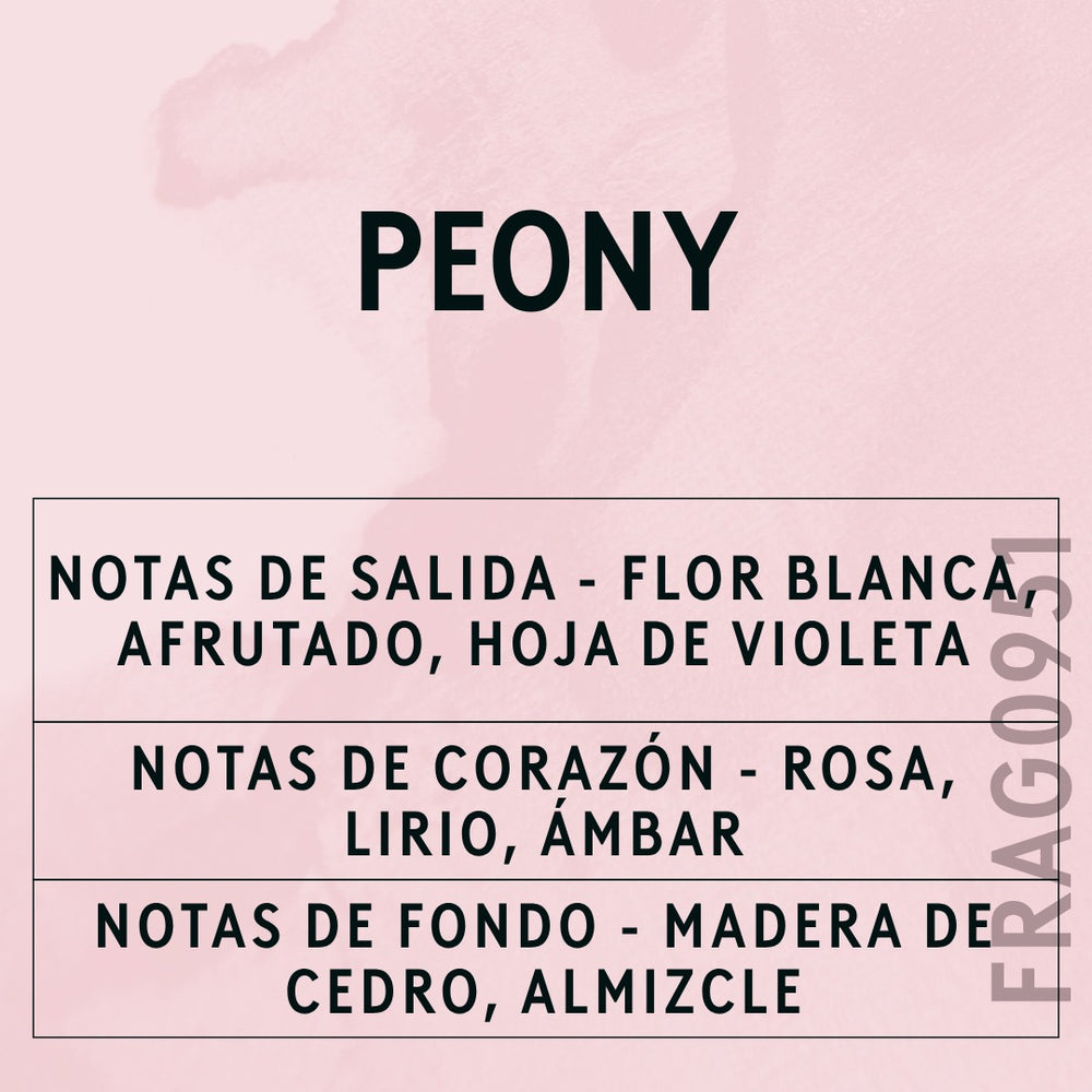 Peony Fragrance Oil scent card (Spanish)