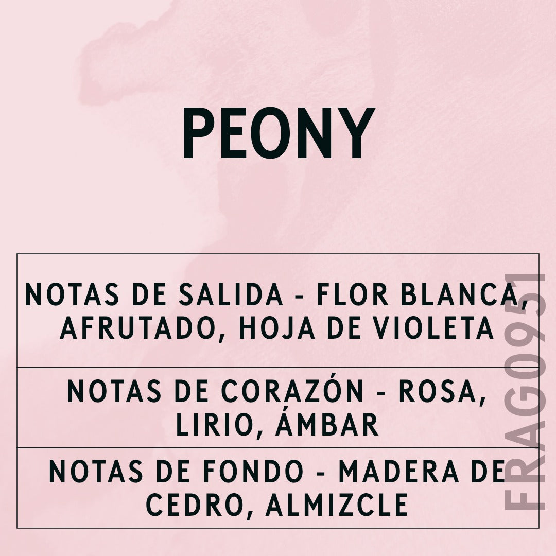 Peony Fragrance Oil scent card (Spanish)