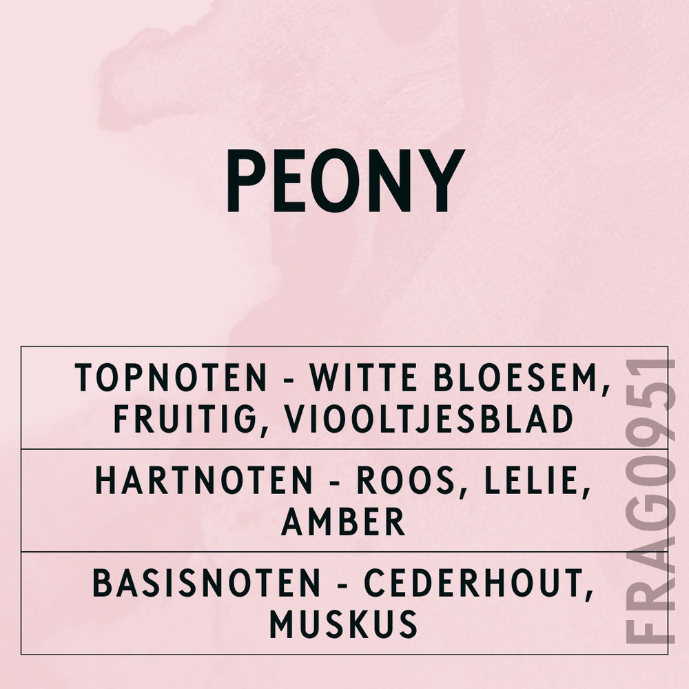 Peony Fragrance Oil scent card (Dutch)