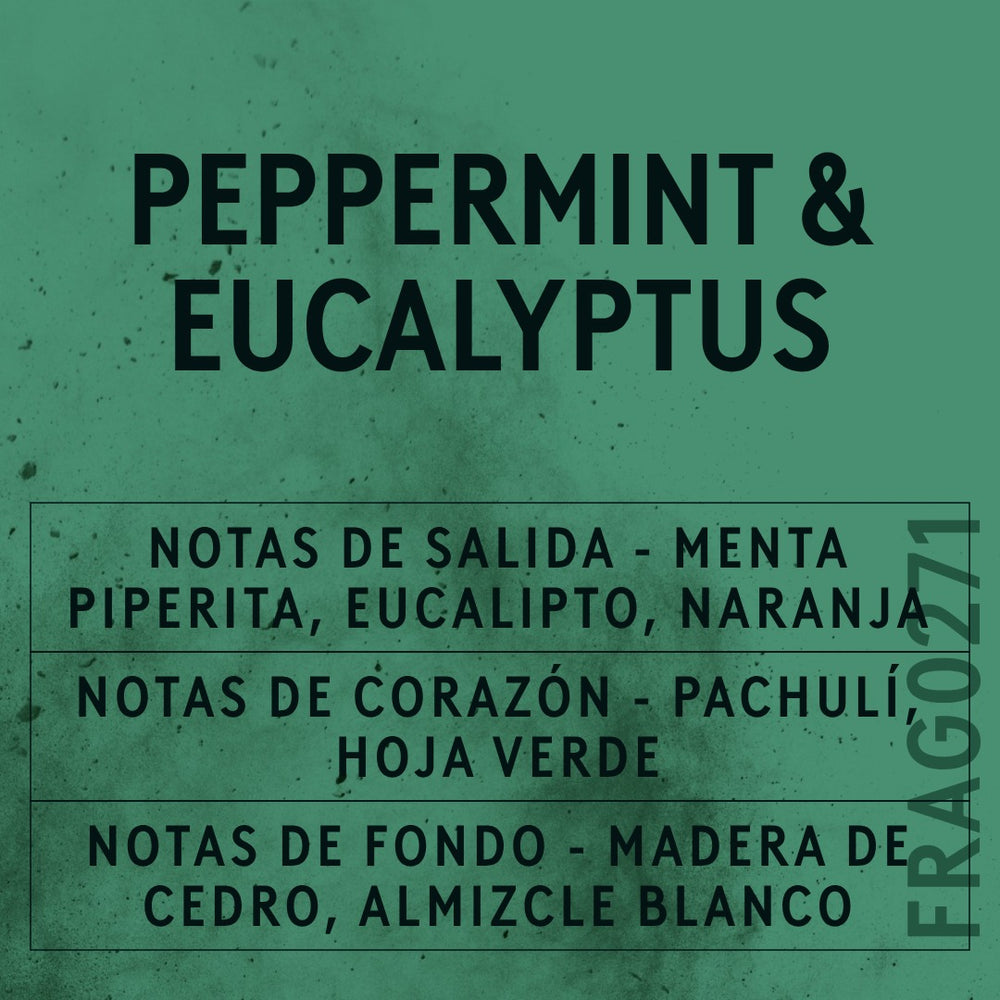 Peppermint and Eucalyptus Fragrance Oil scent card (Spanish)