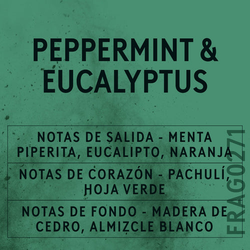 Peppermint and Eucalyptus Fragrance Oil scent card (Spanish)