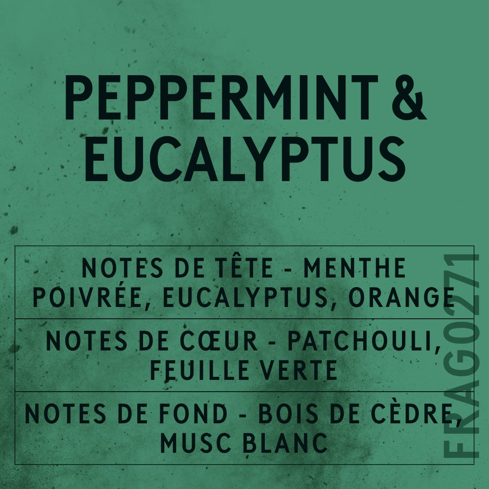 Peppermint and Eucalyptus Fragrance Oil scent card (French)