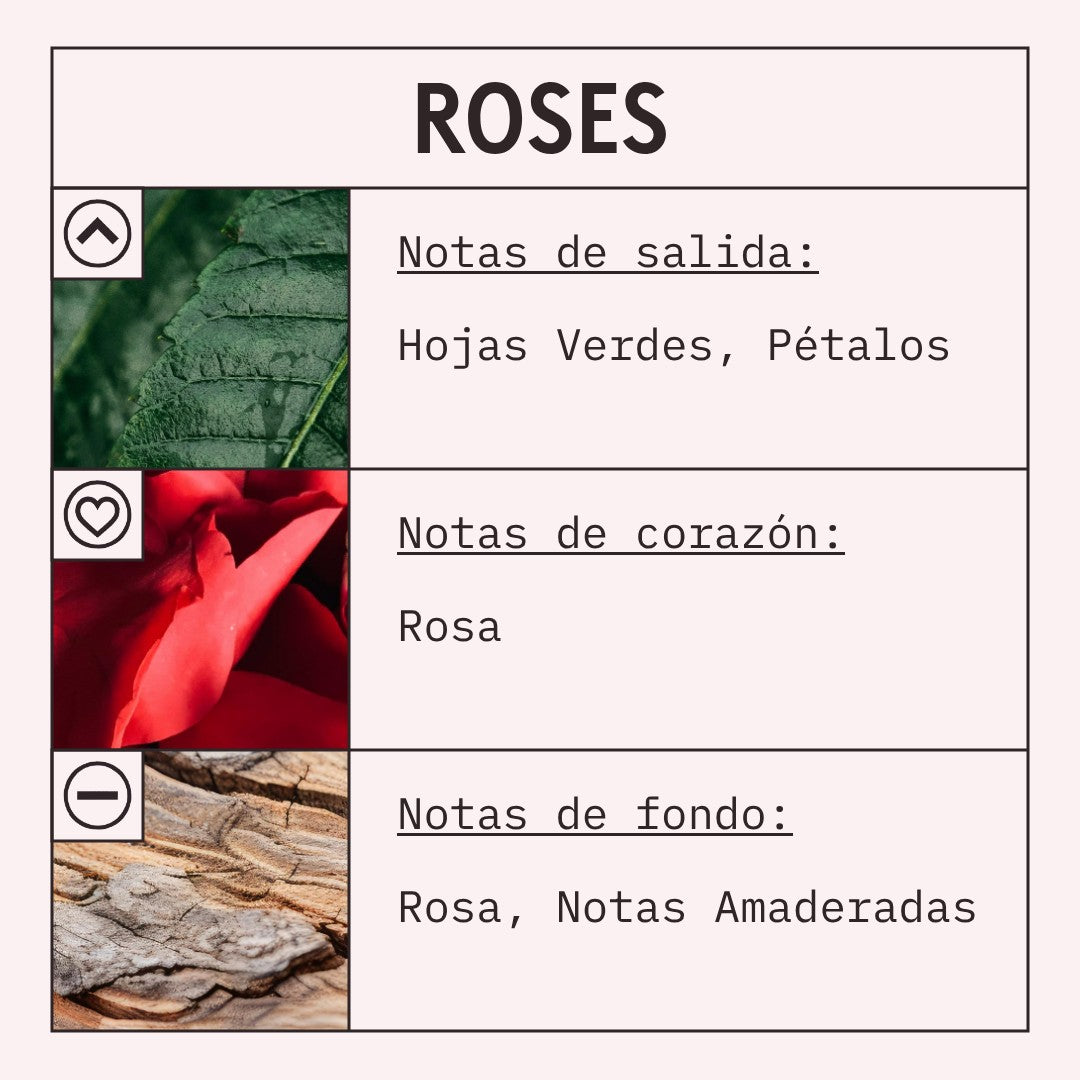 Roses Fragrance Oil scent card (Spanish)