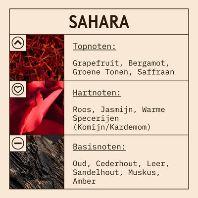 Sahara Fragrance Oil scent card (Dutch)
