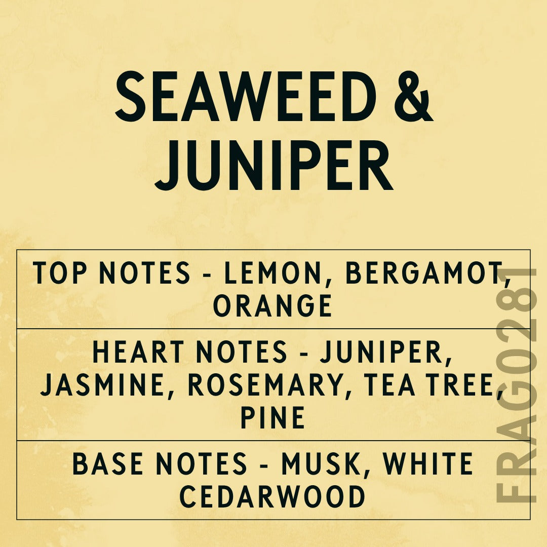 Seaweed and Juniper fragrance oil - Candle Shack aluminium bottle with dried botanicals on a dark slate background