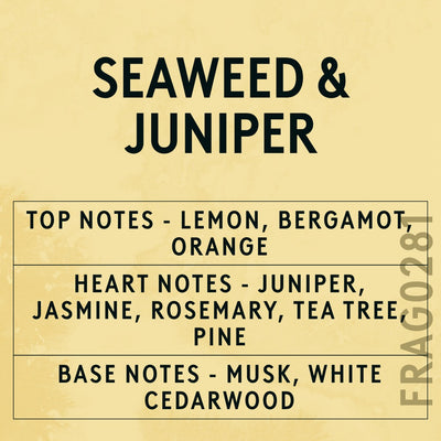 Seaweed and Juniper fragrance oil - Candle Shack aluminium bottle with dried botanicals on a dark slate background