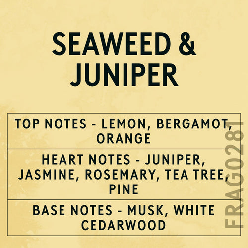 Seaweed and Juniper fragrance oil - Candle Shack aluminium bottle with dried botanicals on a dark slate background