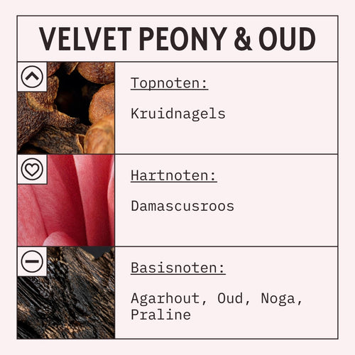 Velvet Peony & Oud Fragrance Oil scent card (Dutch)