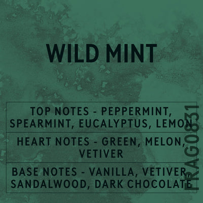 Wild Mint fragrance oil - Candle Shack aluminium bottle with dried botanicals on a dark slate background