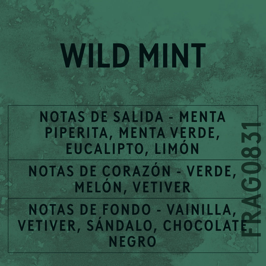 Wild Mint Fragrance Oil scent card (Spanish)