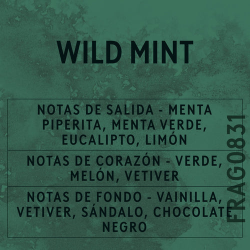 Wild Mint Fragrance Oil scent card (Spanish)