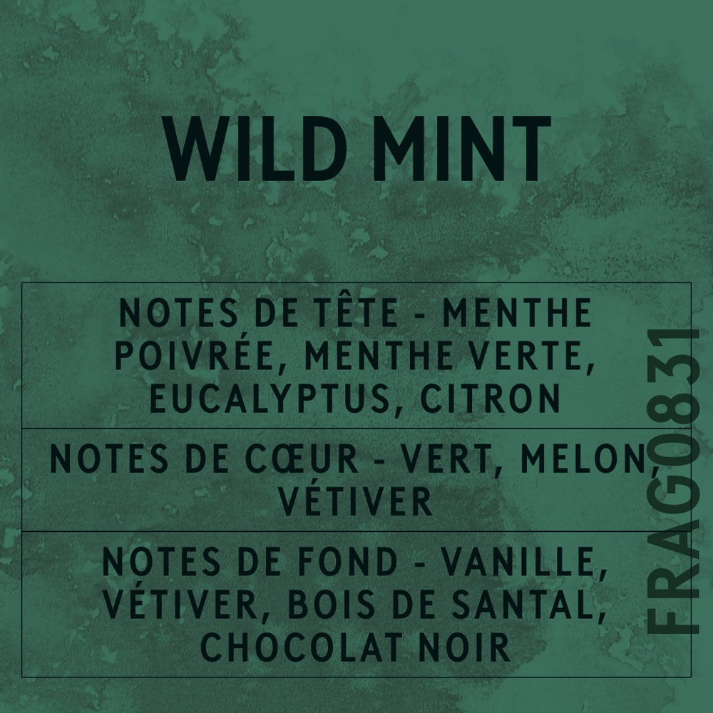 Wild Mint Fragrance Oil scent card (French)