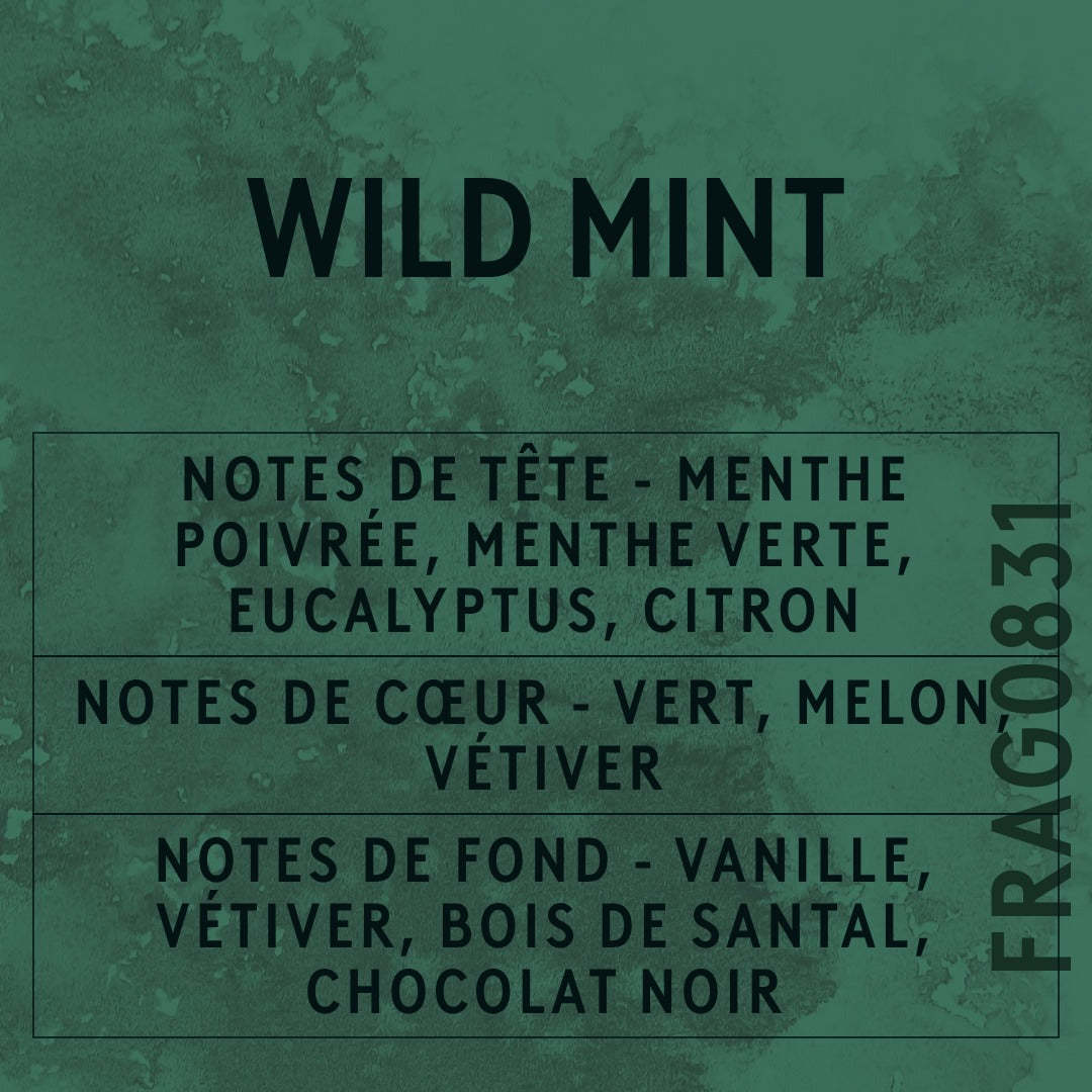 Wild Mint Fragrance Oil scent card (French)