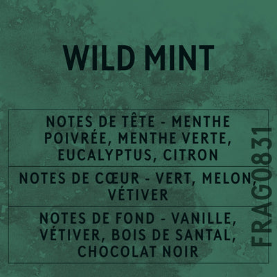 Wild Mint Fragrance Oil scent card (French)