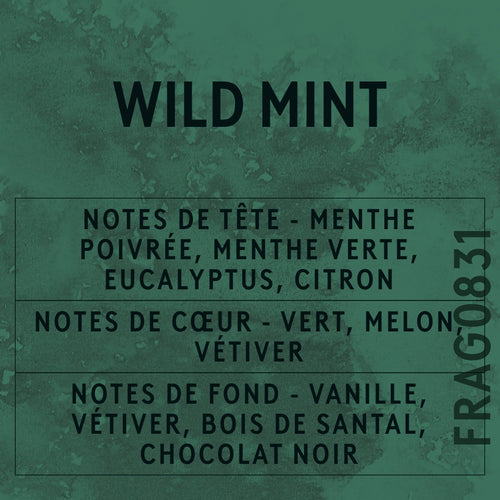Wild Mint Fragrance Oil scent card (French)
